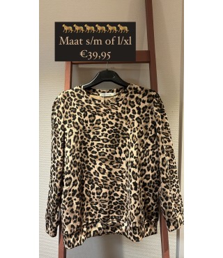 leopard sweater maat s/m